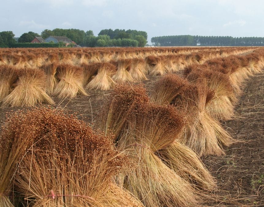 Agricultural planting