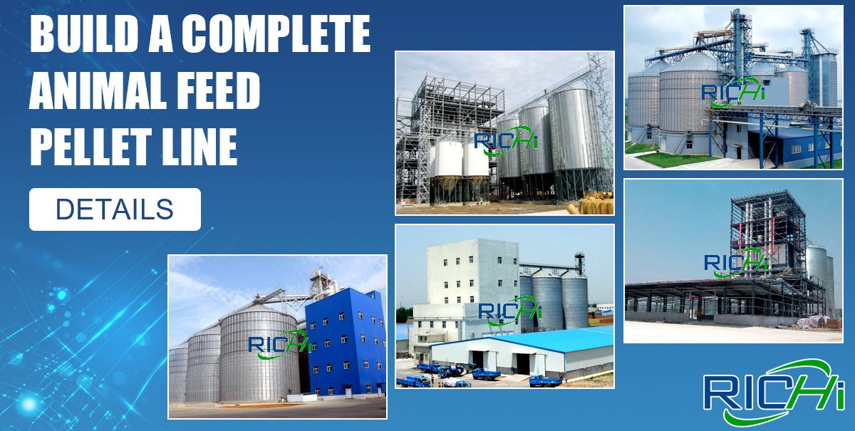 equipment needed in Animal Feed Pellet Production Line
