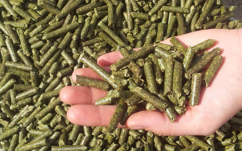 Alfalfa pellet production market prospect