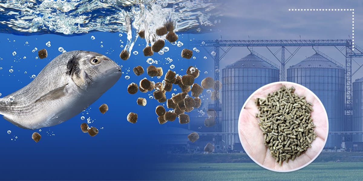 fish pellets