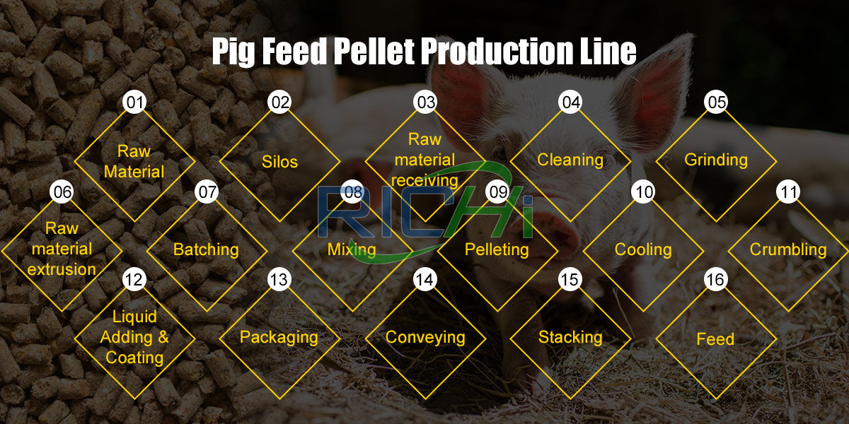 production process Of pig feed plant
