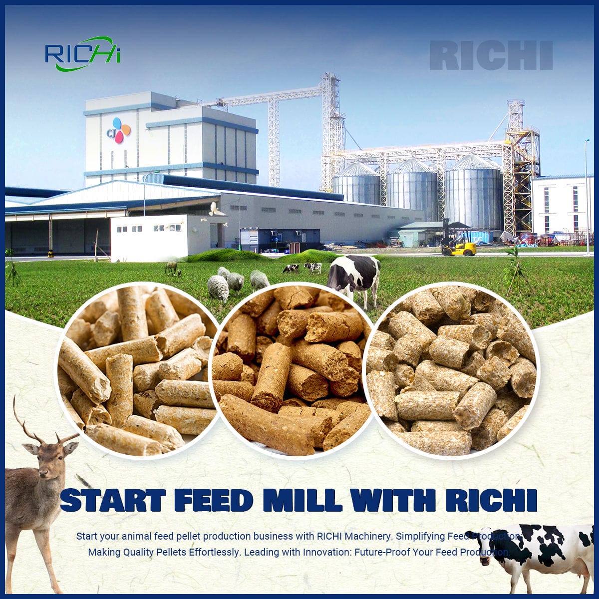 Technical Features Of ruminant Feed Production Line