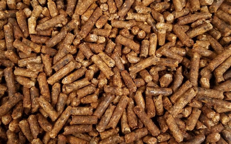 ruminant feed pellets