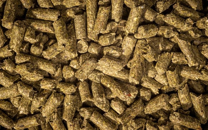 Cattle/Sheep Feed Pellet