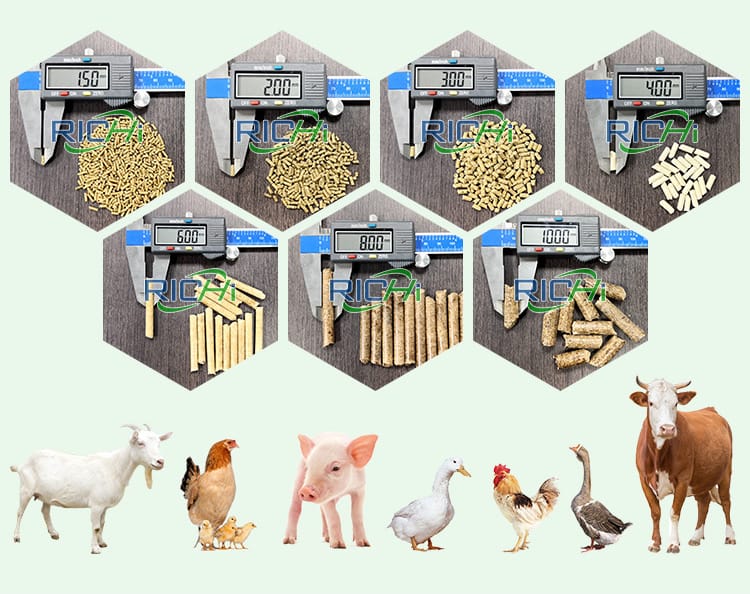 why make pellets with livestock Feed Pellet Machine