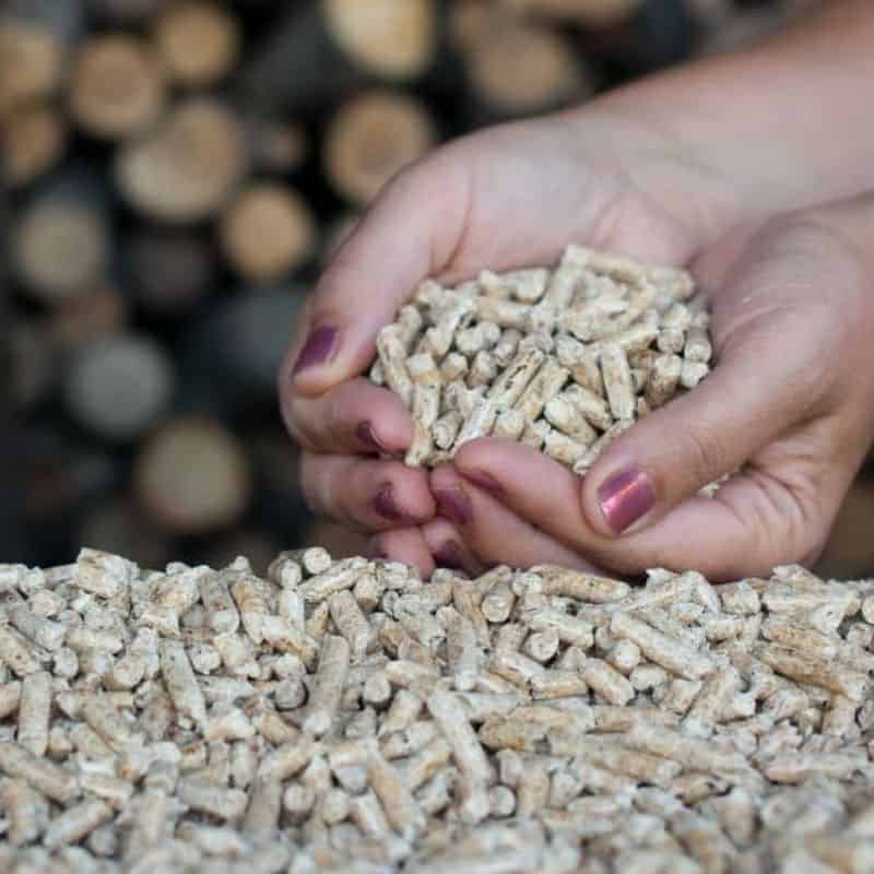 How wood pellets are made?