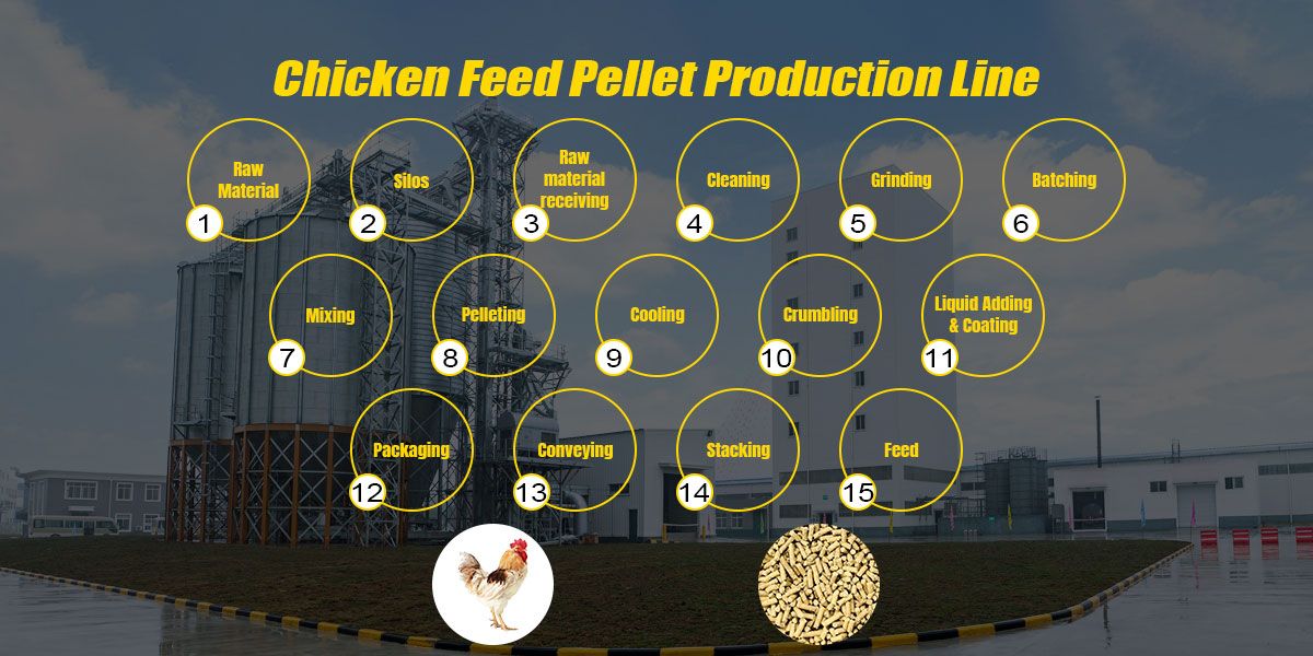 How to Make Chicken Feed?