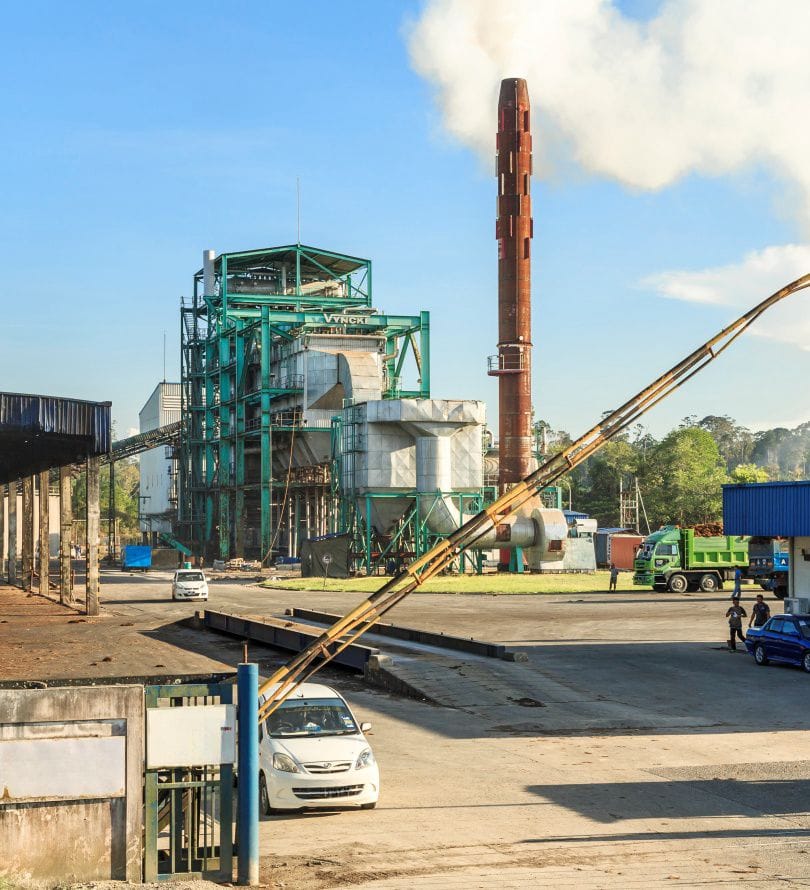 Building A 1-90T/H Biomass Fuel Pellet Plant For Wood Straw EFB Husk Pellets