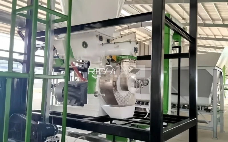 Final Production Test Completed on 6 T/H Bagasse Pellet Line for Mexico
