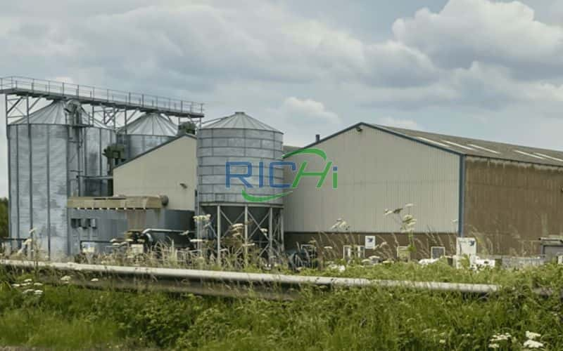 tofu cat litter production line in Mexico