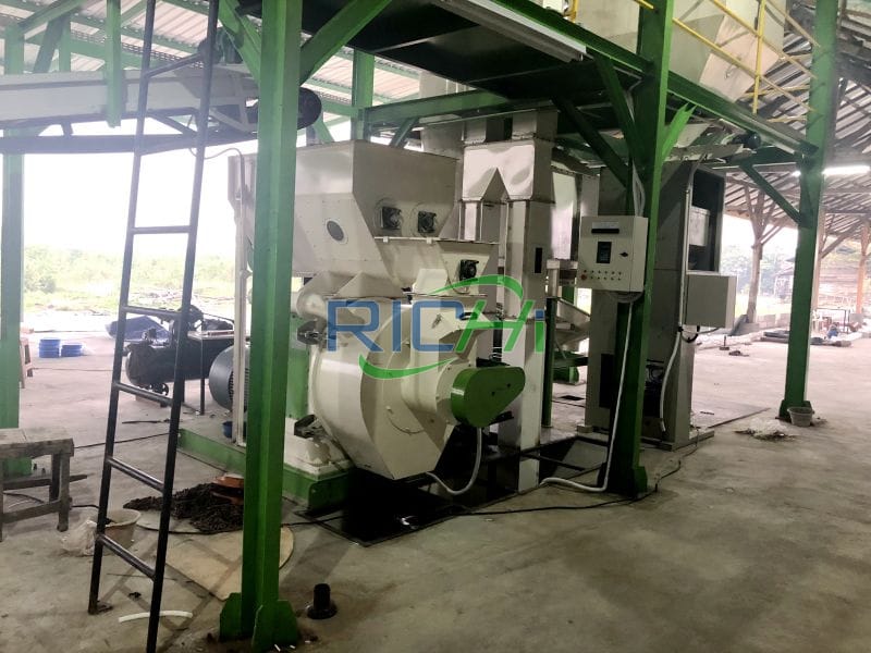 paper cat litter pellet machine in Thailand