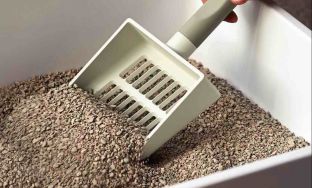 attapulgite cat litter pellet plant solution