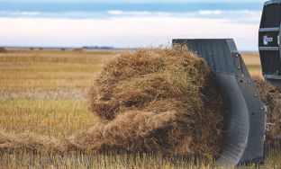 flax straw pellet production line solution