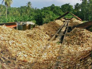 bagasse pellet production line