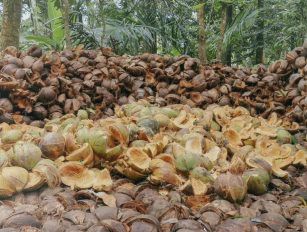 coconut shell pellet production line