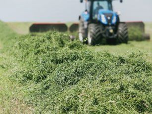 grass pellet production line