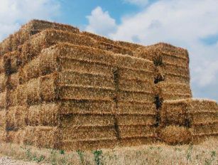 rice straw pellet production line