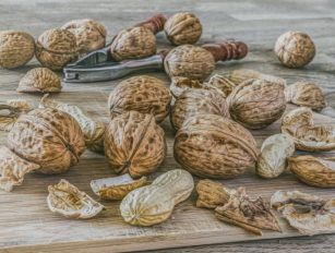 Walnuts shells pellet production line