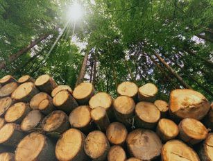 wood pellet production line