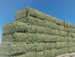 alfalfa pellet production line