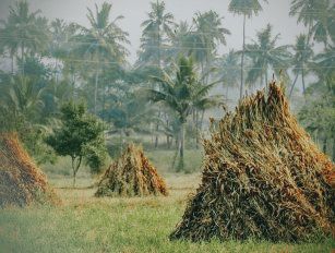 agriculture waste fertilizer production line