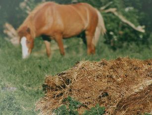 horse manure fertilizer production line