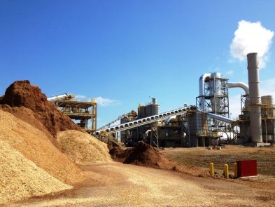 Wood Pellet Manufacturing Plant In Argentina