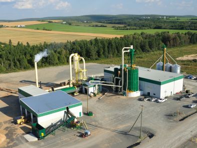 MDF Wood Chip Pellet Production Line In Azerbaijan