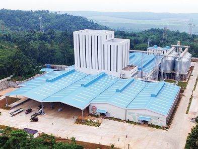 Animal Feed Production Line In Brazil