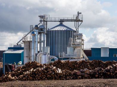 Wood Pellet Production Line In Canada