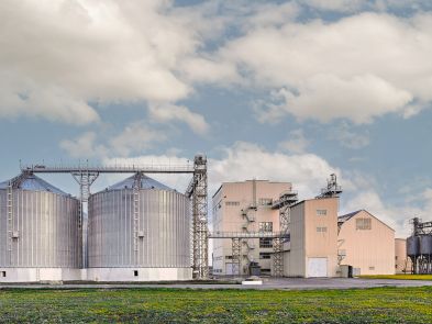 Aqua And Chicken Feed Production Line In Kyrgyzstan