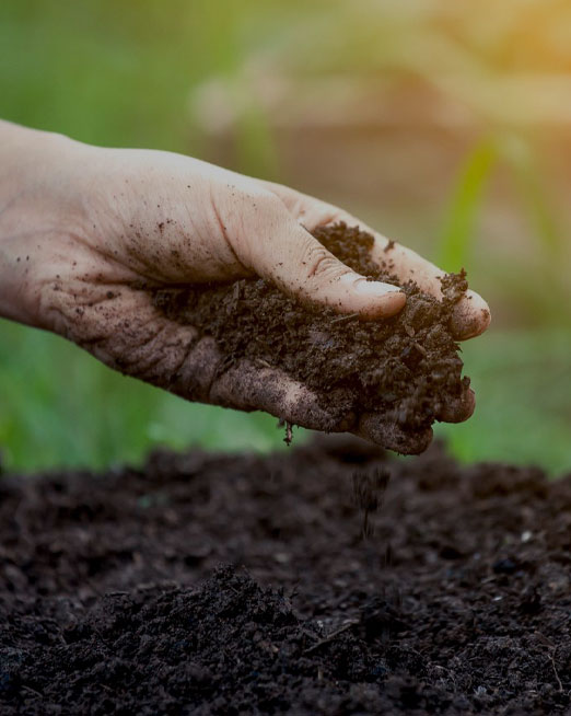 fertilizer pellet plant