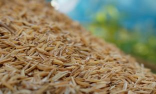 rice husk pellet production line solution